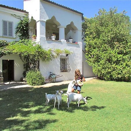 Agriturismo "Borgo Madonna Degli Angeli" - Charming Cottages In The Gardens ! Tocco da Casauria エクステリア 写真