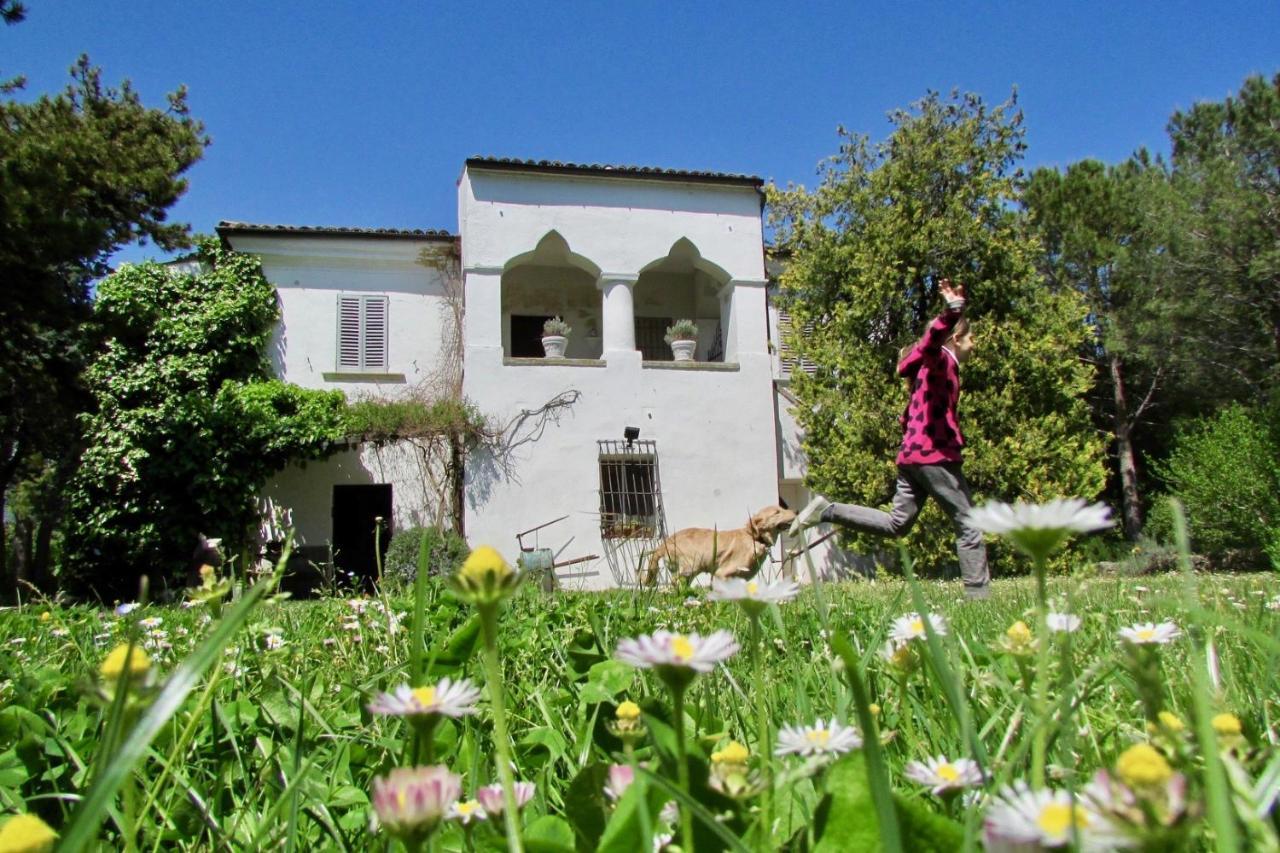 Agriturismo "Borgo Madonna Degli Angeli" - Charming Cottages In The Gardens ! Tocco da Casauria エクステリア 写真