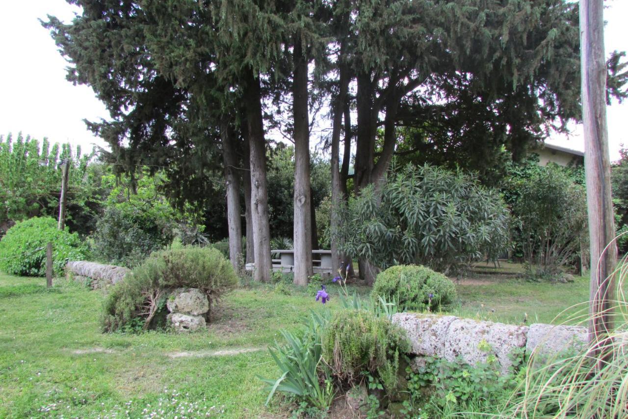 Agriturismo "Borgo Madonna Degli Angeli" - Charming Cottages In The Gardens ! Tocco da Casauria エクステリア 写真