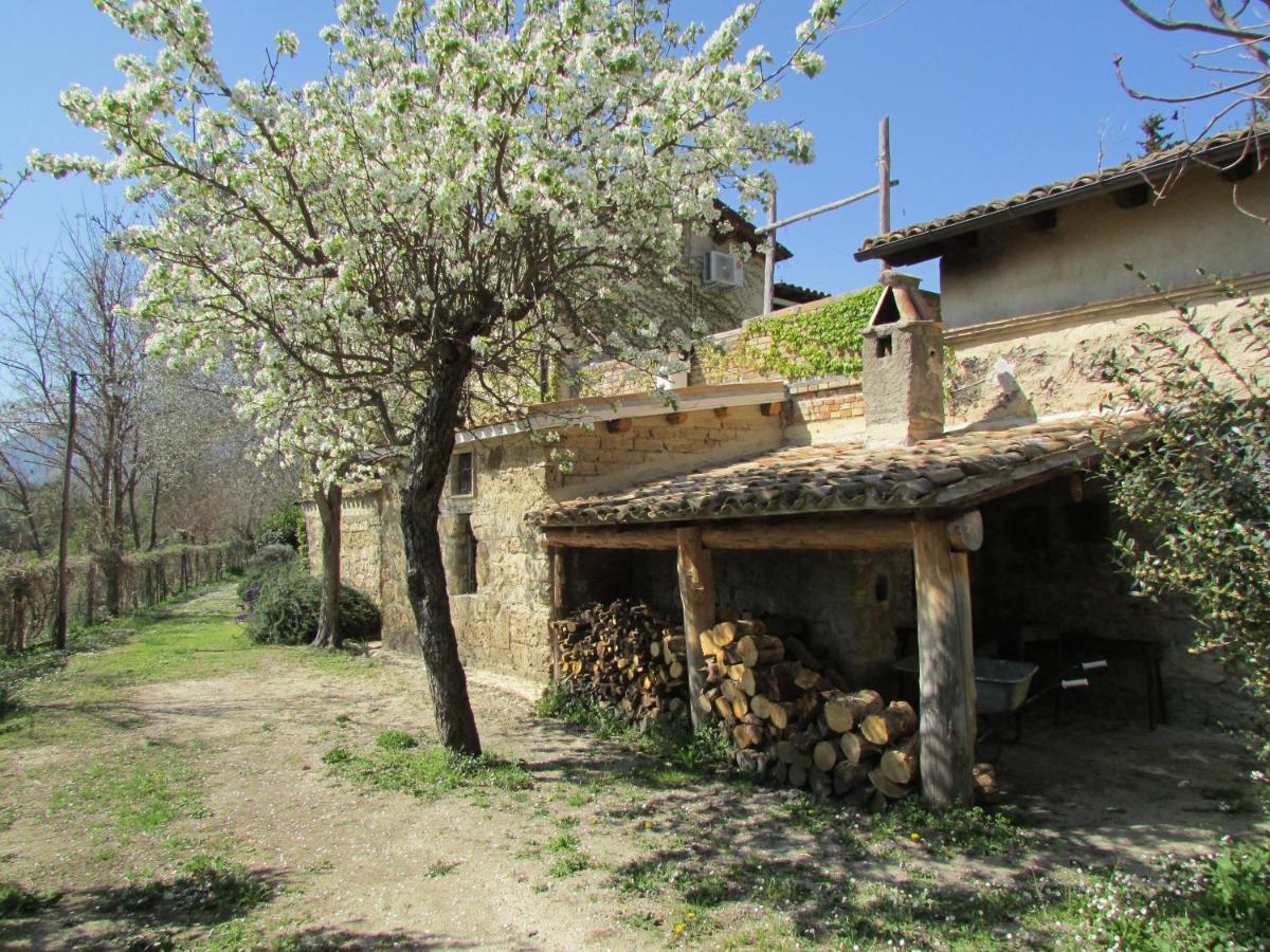 Agriturismo "Borgo Madonna Degli Angeli" - Charming Cottages In The Gardens ! Tocco da Casauria エクステリア 写真