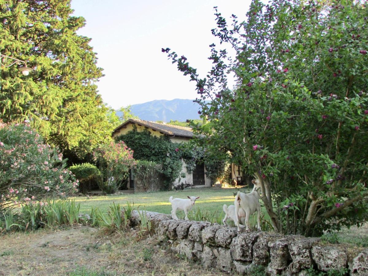 Agriturismo "Borgo Madonna Degli Angeli" - Charming Cottages In The Gardens ! Tocco da Casauria エクステリア 写真