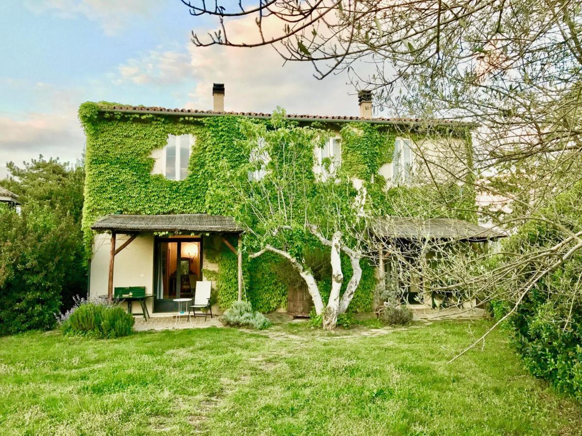 Agriturismo "Borgo Madonna Degli Angeli" - Charming Cottages In The Gardens ! Tocco da Casauria エクステリア 写真