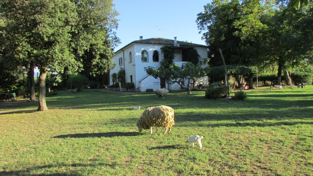 Agriturismo "Borgo Madonna Degli Angeli" - Charming Cottages In The Gardens ! Tocco da Casauria エクステリア 写真