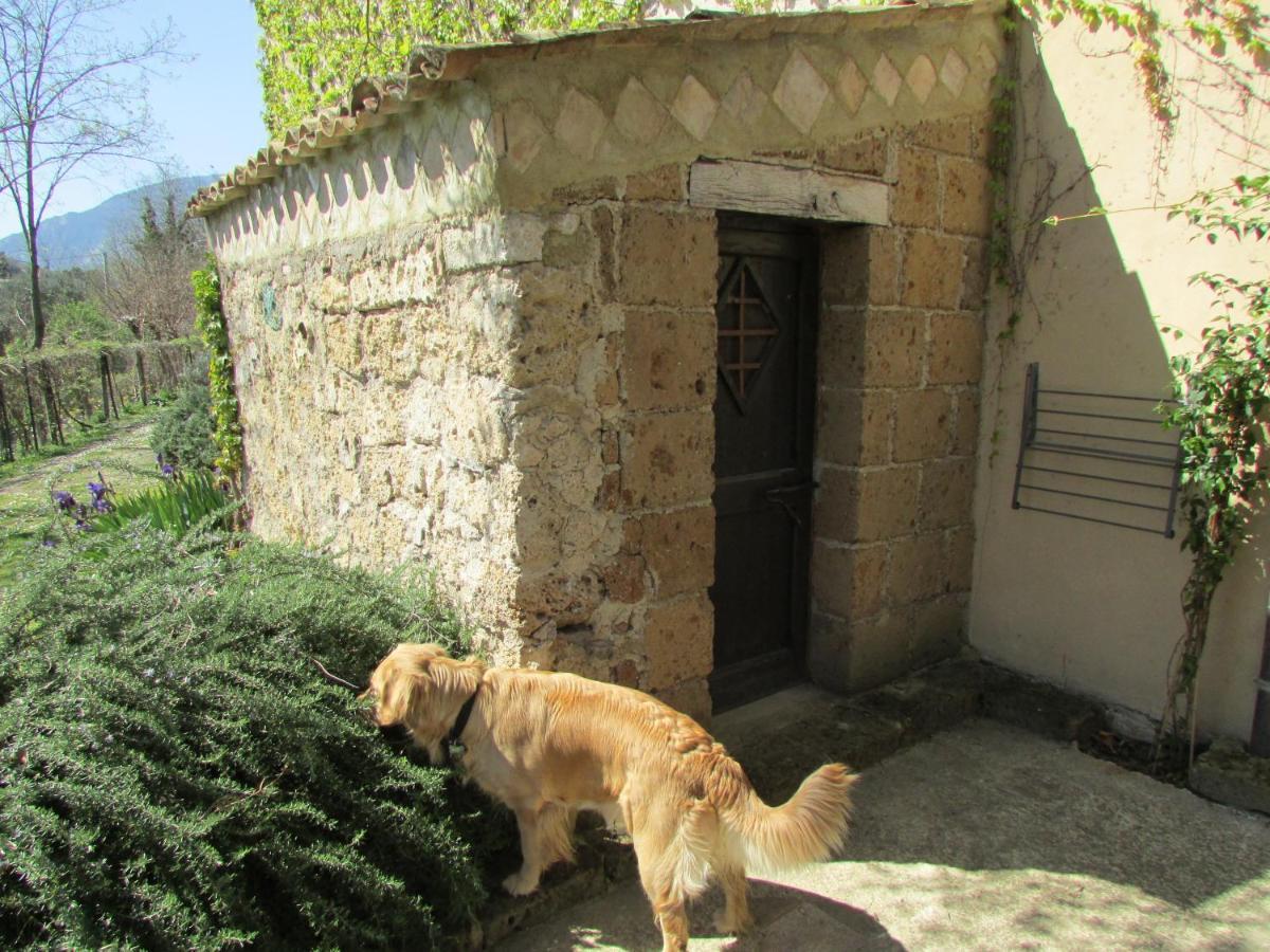 Agriturismo "Borgo Madonna Degli Angeli" - Charming Cottages In The Gardens ! Tocco da Casauria エクステリア 写真