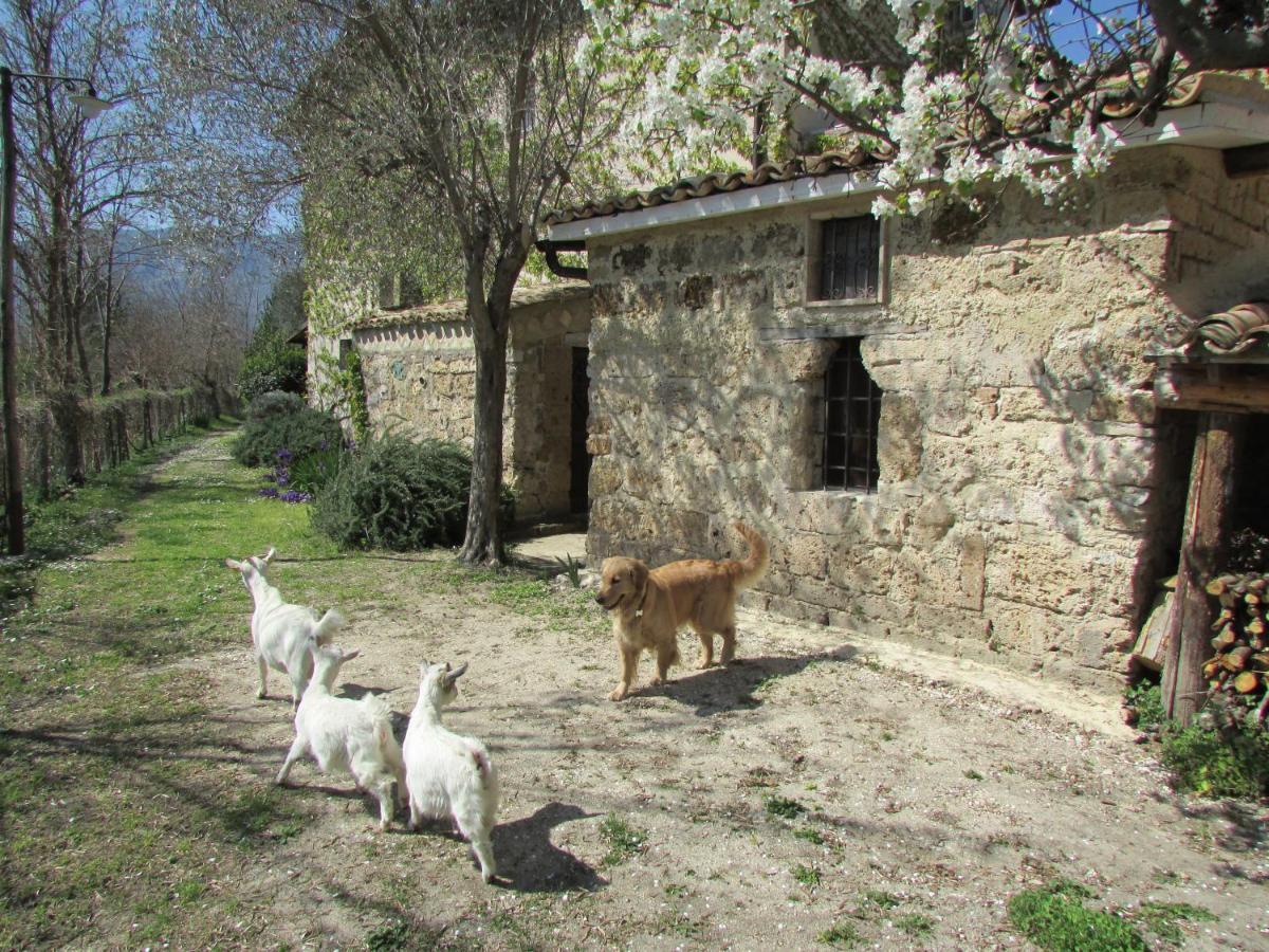 Agriturismo "Borgo Madonna Degli Angeli" - Charming Cottages In The Gardens ! Tocco da Casauria エクステリア 写真