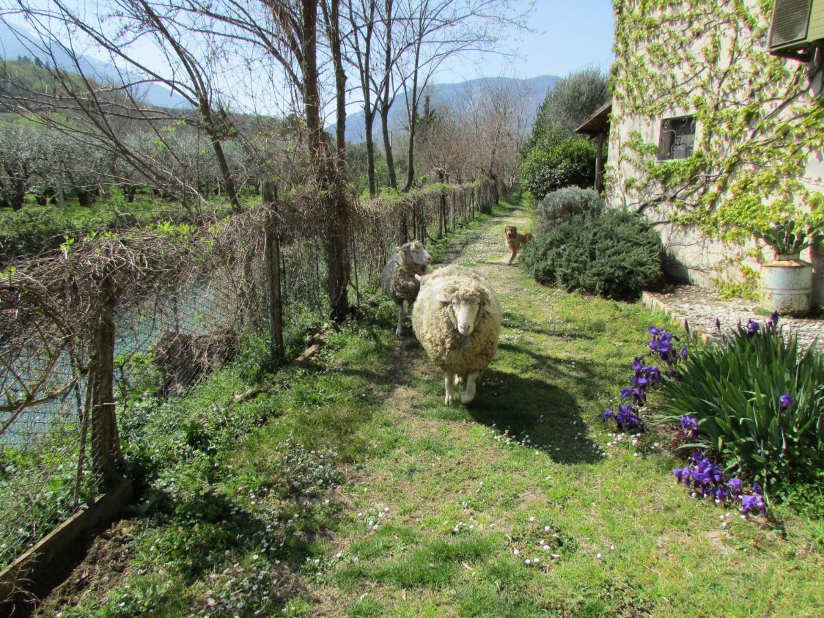 Agriturismo "Borgo Madonna Degli Angeli" - Charming Cottages In The Gardens ! Tocco da Casauria エクステリア 写真