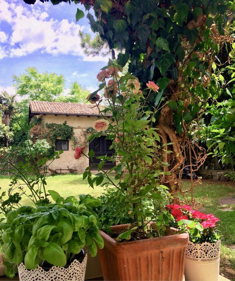 Agriturismo "Borgo Madonna Degli Angeli" - Charming Cottages In The Gardens ! Tocco da Casauria エクステリア 写真