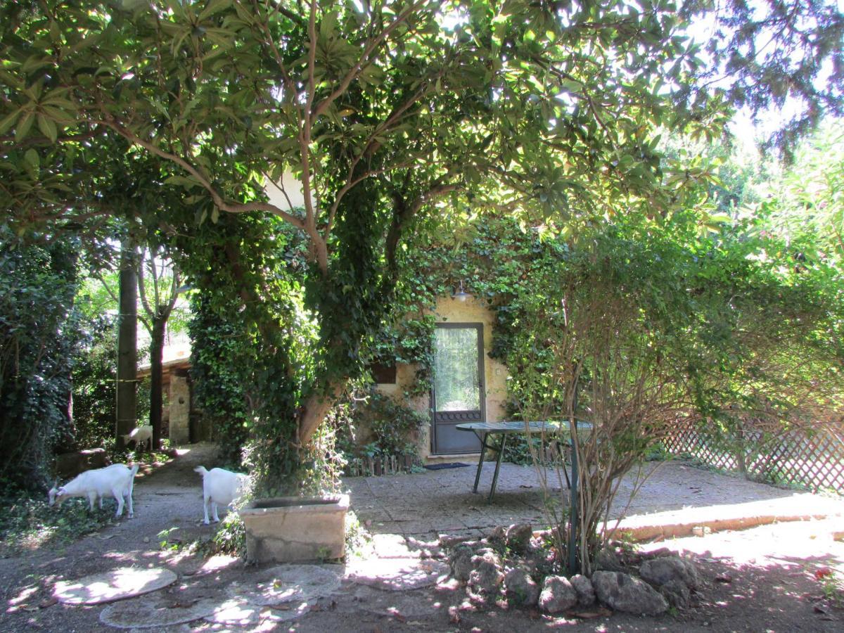 Agriturismo "Borgo Madonna Degli Angeli" - Charming Cottages In The Gardens ! Tocco da Casauria エクステリア 写真