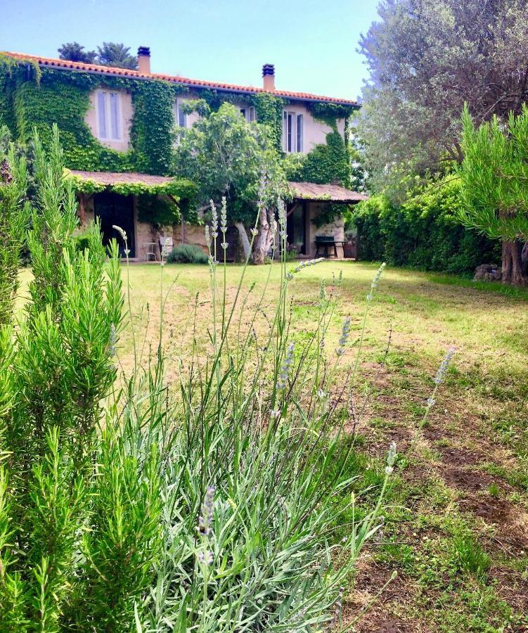 Agriturismo "Borgo Madonna Degli Angeli" - Charming Cottages In The Gardens ! Tocco da Casauria エクステリア 写真