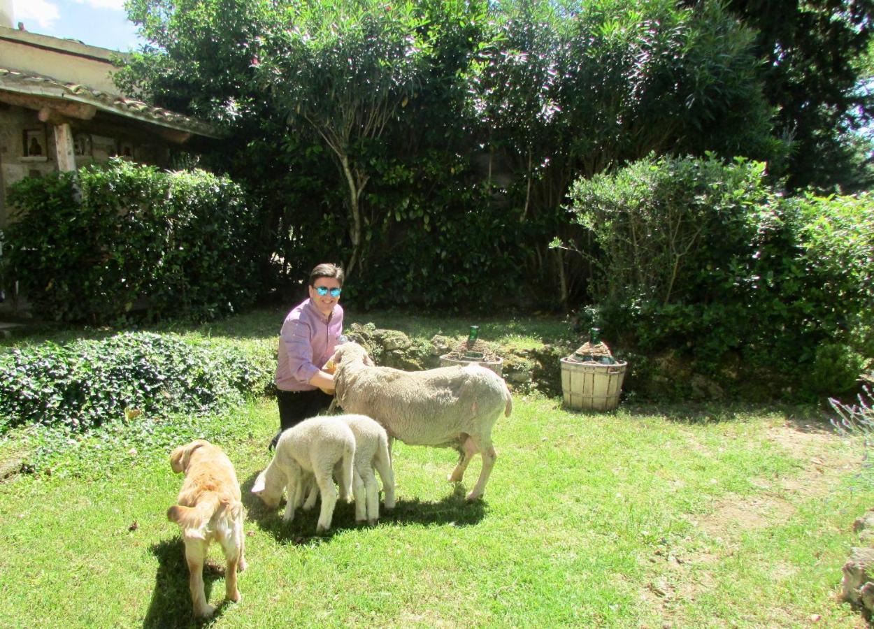 Agriturismo "Borgo Madonna Degli Angeli" - Charming Cottages In The Gardens ! Tocco da Casauria エクステリア 写真