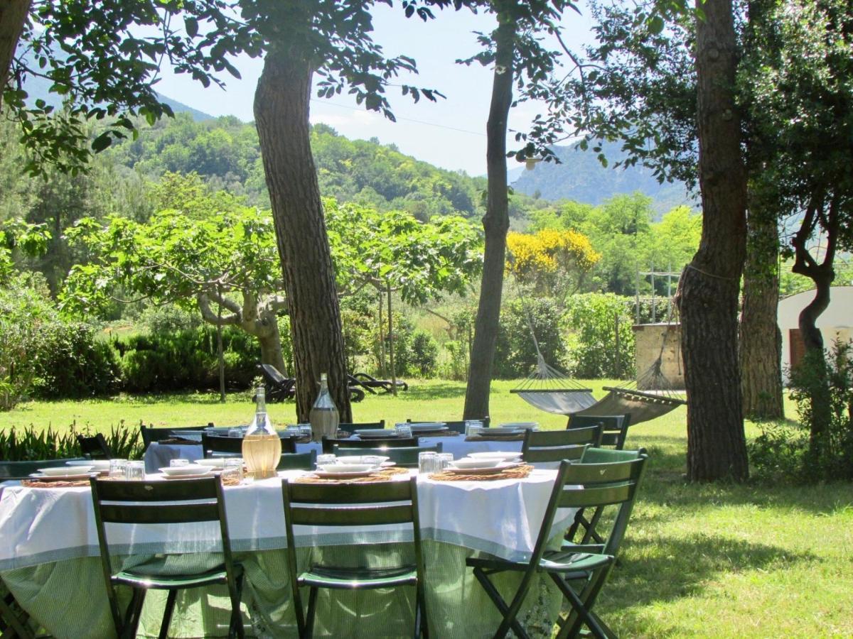 Agriturismo "Borgo Madonna Degli Angeli" - Charming Cottages In The Gardens ! Tocco da Casauria エクステリア 写真
