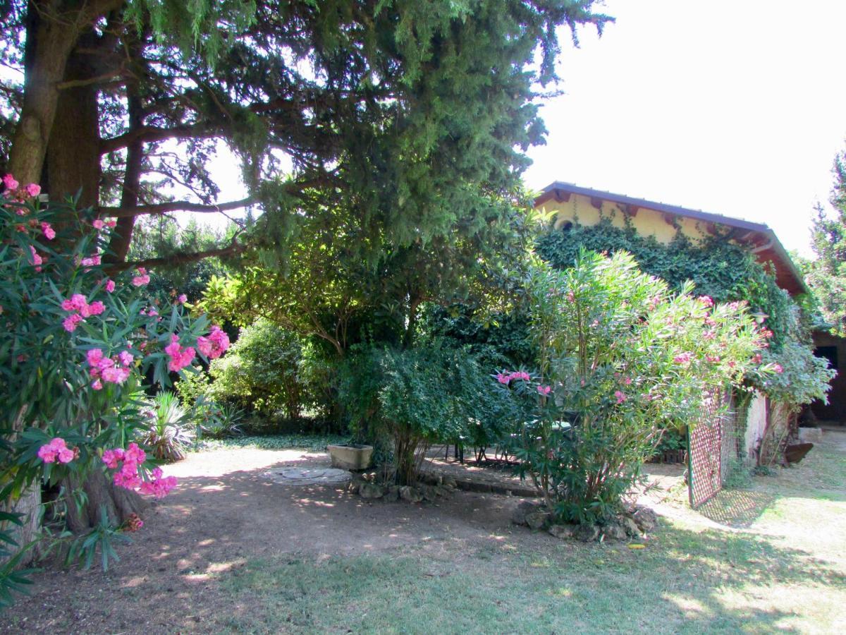 Agriturismo "Borgo Madonna Degli Angeli" - Charming Cottages In The Gardens ! Tocco da Casauria エクステリア 写真