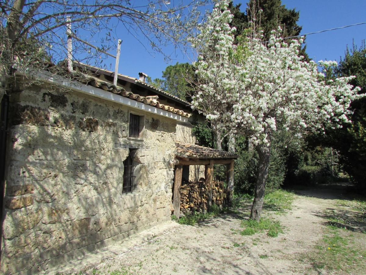 Agriturismo "Borgo Madonna Degli Angeli" - Charming Cottages In The Gardens ! Tocco da Casauria エクステリア 写真