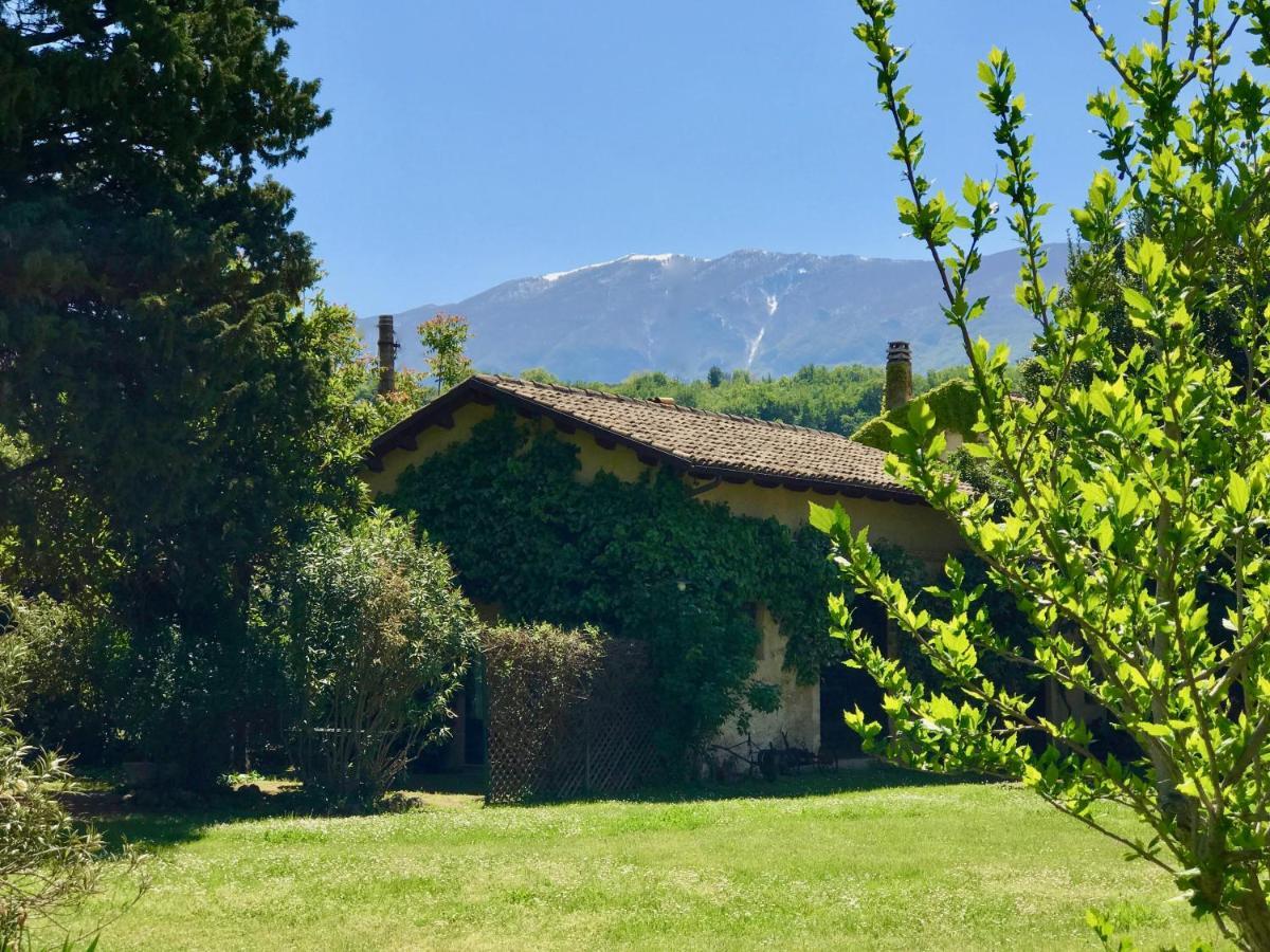 Agriturismo "Borgo Madonna Degli Angeli" - Charming Cottages In The Gardens ! Tocco da Casauria エクステリア 写真