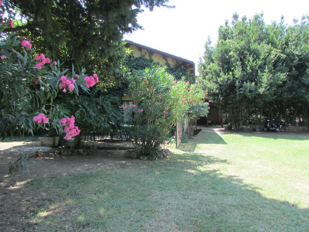 Agriturismo "Borgo Madonna Degli Angeli" - Charming Cottages In The Gardens ! Tocco da Casauria エクステリア 写真