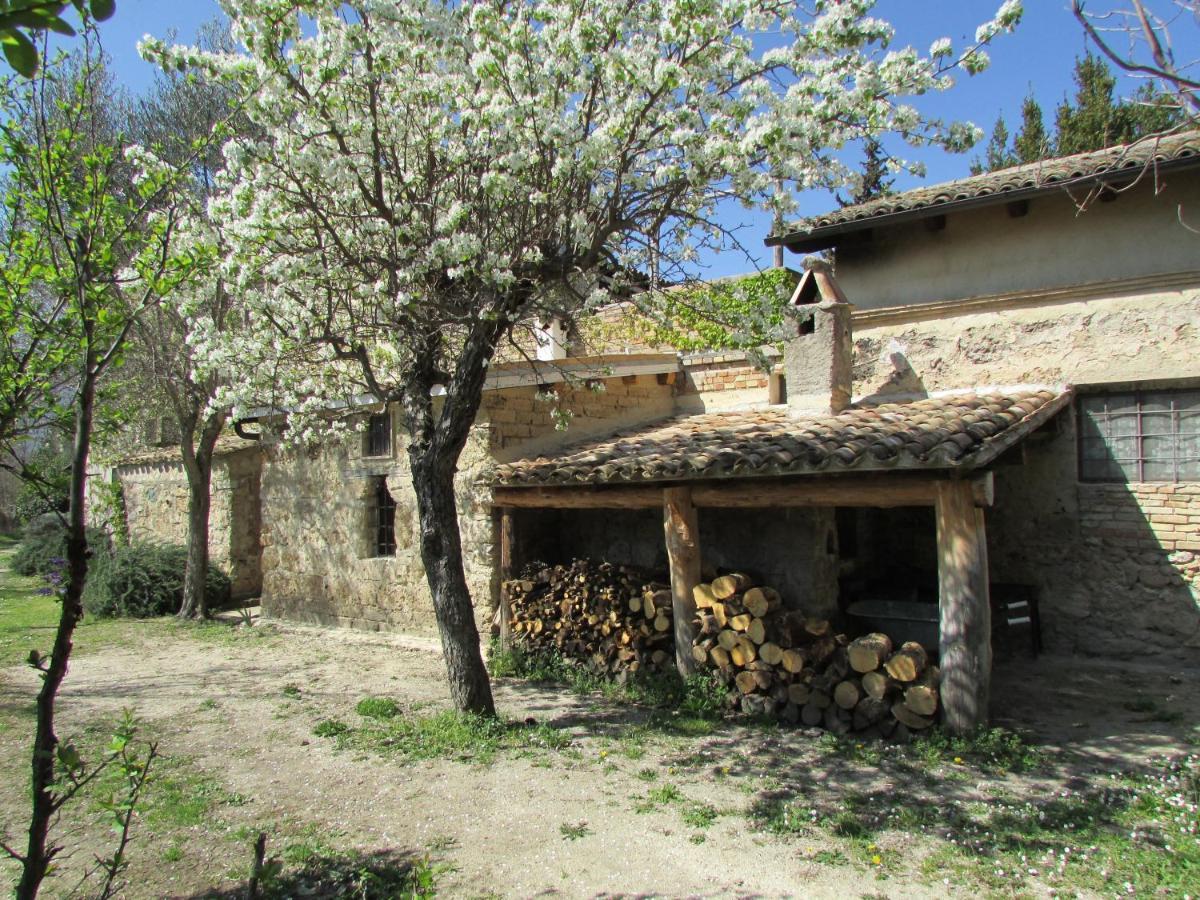 Agriturismo "Borgo Madonna Degli Angeli" - Charming Cottages In The Gardens ! Tocco da Casauria エクステリア 写真