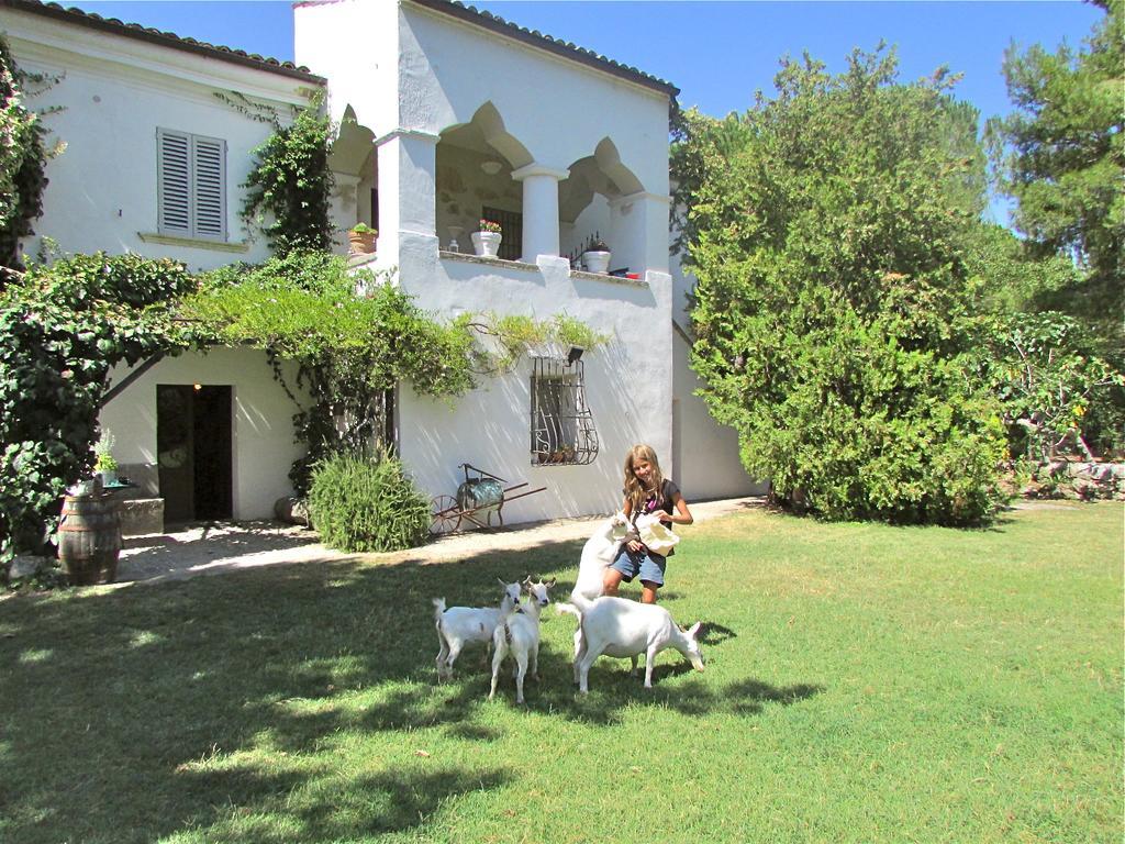 Agriturismo "Borgo Madonna Degli Angeli" - Charming Cottages In The Gardens ! Tocco da Casauria エクステリア 写真