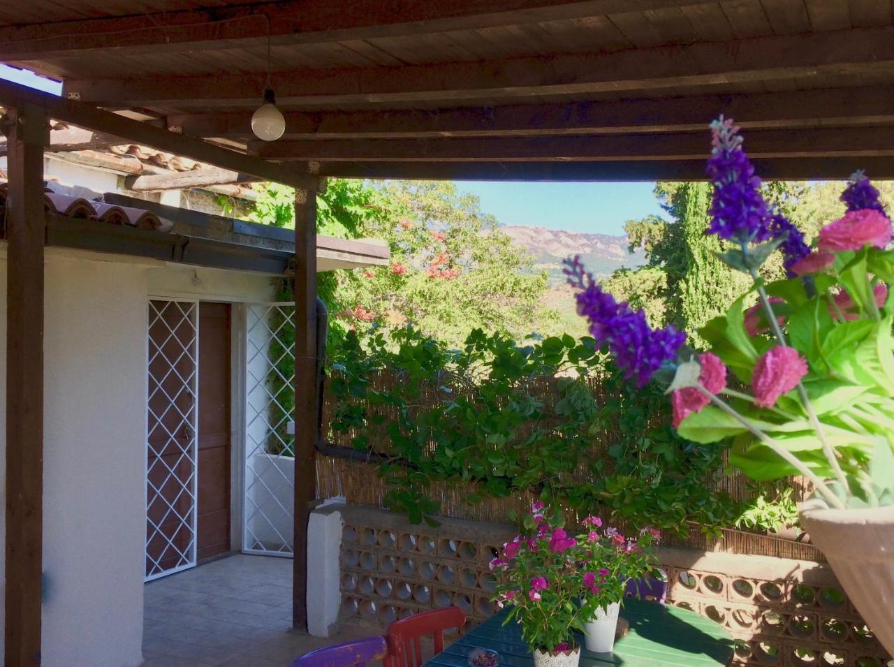 Agriturismo "Borgo Madonna Degli Angeli" - Charming Cottages In The Gardens ! Tocco da Casauria エクステリア 写真